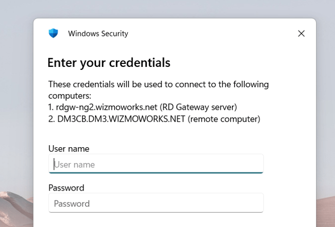 Entering credentials in the RDP dialog